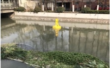  多參數(shù)水質(zhì)分析儀在城市景觀河道上的應(yīng)用