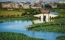  環(huán)保促發(fā)展系列報道（2）｜從&ldquo;優(yōu)環(huán)境&rdquo;到&ldquo;強(qiáng)產(chǎn)業(yè)&rdquo;再到&ldquo;惠民生&rdquo; 東莞市麻涌鎮(zhèn)走通綠色發(fā)展&ldquo;閉環(huán)&rdquo;