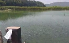  水產(chǎn)養(yǎng)殖水質(zhì)檢測標(biāo)準(zhǔn)，這五個(gè)方面讓水質(zhì)恢復(fù)清新