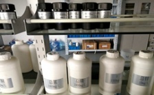  什么是氨氮總磷總氮？