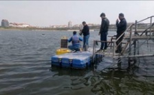  小型浮標在線監測系統