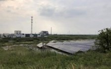  江蘇海安市違規(guī)撤銷(xiāo)沿海防護(hù)林和灘涂縣級(jí)自然保護(hù)區(qū)實(shí)施開(kāi)發(fā)建設(shè)