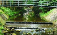  河南開(kāi)封飲用水水源地環(huán)境問(wèn)題整治工作不嚴(yán)不實(shí)