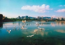  生態(tài)環(huán)境部通報(bào)水源地專(zhuān)項(xiàng)督查進(jìn)展