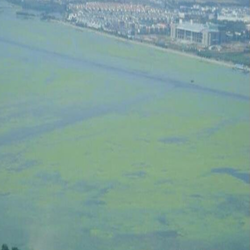  cod對水質和環(huán)境的影響和危害