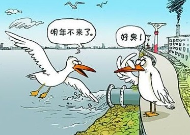  國家飲用水標(biāo)準(zhǔn)及水質(zhì)合格率是多少？