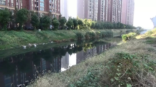 責(zé)任未壓實 整改打折扣 安徽蕪湖中央環(huán)保督察整改落實不力